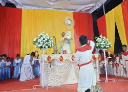 CONFRATERNITY SUNDAY