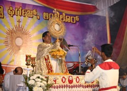 CONFRATERNITY SUNDAY